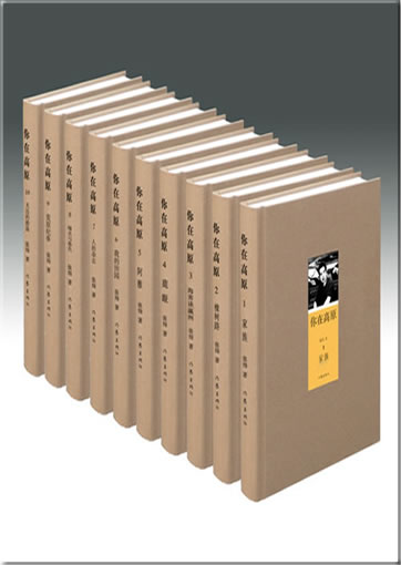 Zhang Wei: Ni zai gaoyuan (10 tomes)<br>ISBN: 978-7-5063-4934-5, 9787506349345