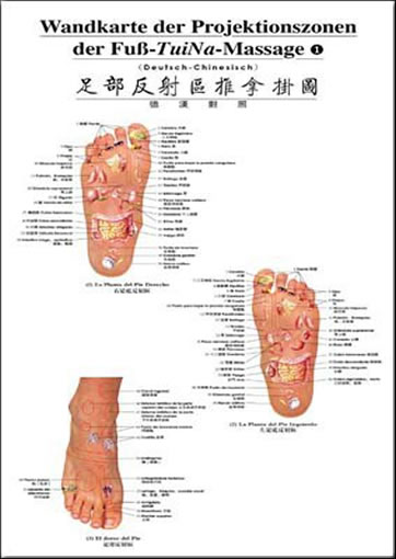 Wandkarte der Projektionszonen der Fuss-Tuina-Massage (German-Chinese)7-117-07992-4, 7117079924, 978-7-117-07992-1, 9787117079921