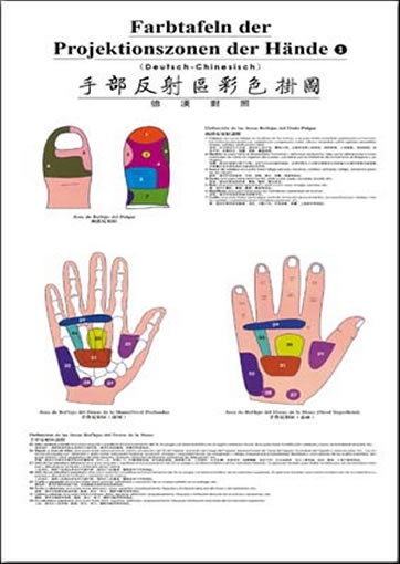 Farbtafeln der Projektionszonen der Hände (German-Chinese)7-117-08011-6, 7117080116, 978-7-117-08011-8, 9787117080118