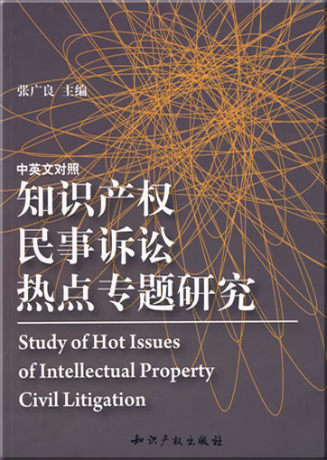 Study of Hot Issues of Intellectual Property Civil Litigation (zweisprachig Chinesisch-Englisch)<br>ISBN: 978-7-80247-222-8, 9787802472228
